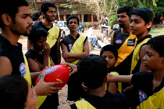 Tigers_India_resized.jpg